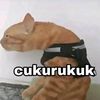aammbaaii