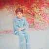 zaitoon.aslam