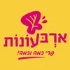 ארבעונות