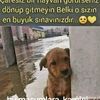 mutlu.bey8