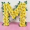 mahin.hossain66