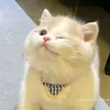 hnghi_cthh.17