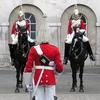 royal guard
