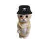 user5603020128594