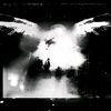 monarchy666