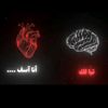 yacine.berkan