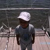 hamilh.h