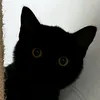 luna.ramona.movis