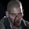 shanewalsh21
