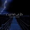 user5150671584003