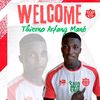 nianthio.afang