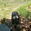 bogdan.proca