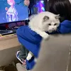 vbfgsvb