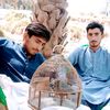 nazrhussainlashar
