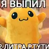 ya_vinil2_litra_rtyti