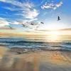 alessio.malik45e