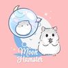 moon_hamsterq
