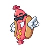 aawesomehotdog