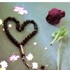 alwaleef2000000