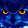 fantazer_owl