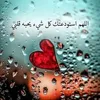 aminasadouk36