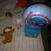 luisito5202