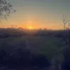 hayden__21