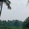 cah.lebung