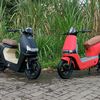 radit.ya516