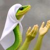 ina.mohamed1234567