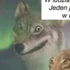 velvan98