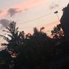 miobalap33