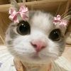 k_ainna1