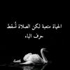 adoula_96dz