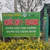 ch.th.y.tcn.trang