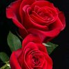 user59126070405328