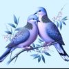 user2044985725253