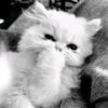 raurrrrrrrrrrrrr_
