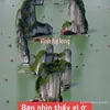 anh53453