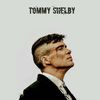 legend.shelby56