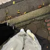 eufugjgigfdijcjgigjfjf