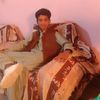 saqib.sheri