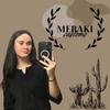 meraki.customs