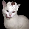 fucksh1tup27