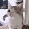prororotot