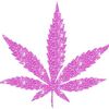 user66850661048628