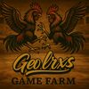 geoo.game.farm