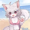 11orange_cat11