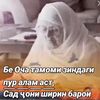 sabr27877