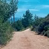 marym7319